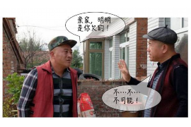 高邑债务清欠服务